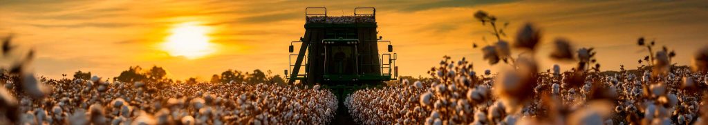 Laferlins Weekly Report – April 15, 2025