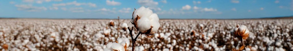 USDA Monthly Report – April 2025