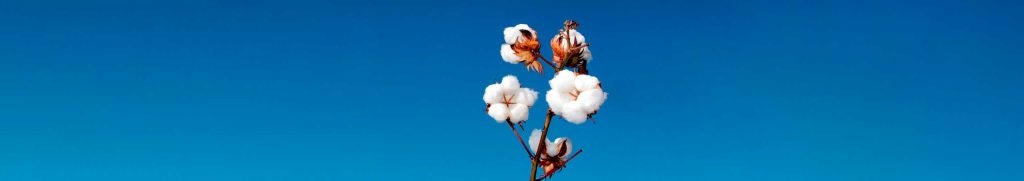 Laferlins Weekly Report – May 13, 2025