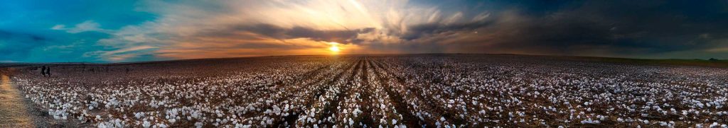 Laferlins Weekly Report – September 30, 2025